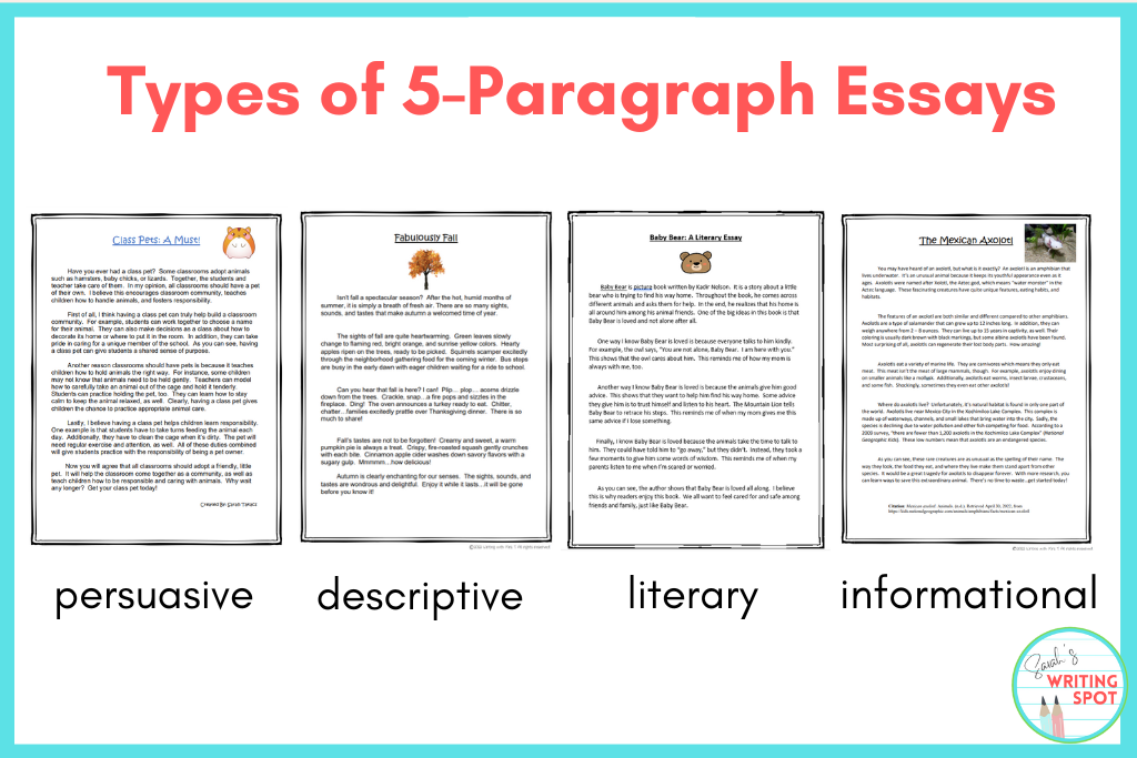 One of the essay writing tips and tricks includes identifying the 4 types of 5-paragraph essays: persuasive, descriptive, informational, and literary.