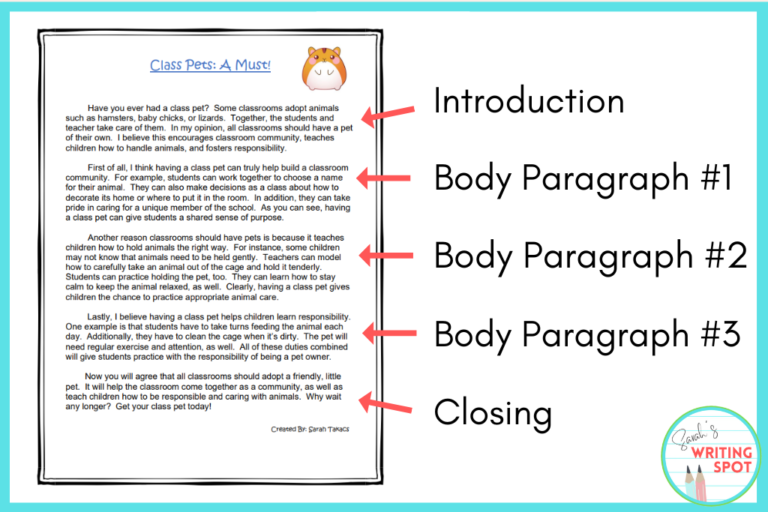 5 Simple Essay Writing Steps to Use with Beginning Writers - Sarah's ...