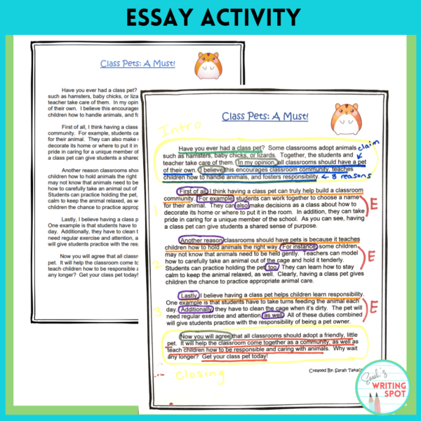 5 paragraph essay examples like the one shown can be analyzed with colorful markers