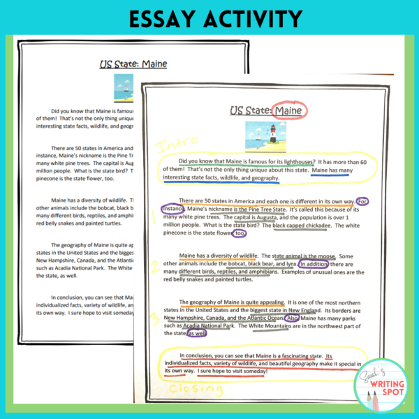 An example of an expository essay can be analyzed and labeled to better understand how to write this type of essay