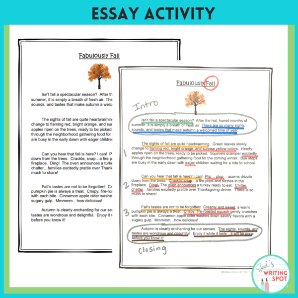 An example is shown for what descriptive essay writing needs